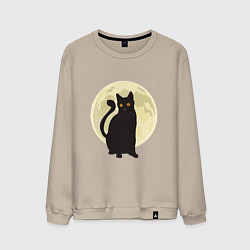 Свитшот хлопковый мужской Moon Cat, цвет: миндальный
