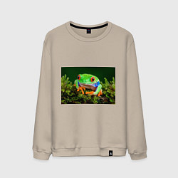 Свитшот хлопковый мужской Тропическая лягушка, цвет: миндальный