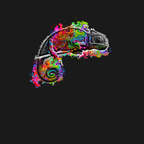 Мужской свитшот Хамелеон большой / Черный – фото 3