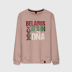 Свитшот хлопковый мужской ДНК - Беларусь, цвет: пыльно-розовый
