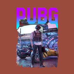 Свитшот хлопковый мужской PUBG NEON ПУБГ НЕОН Z, цвет: кирпичный — фото 2