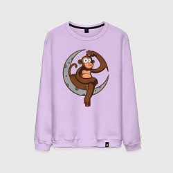 Свитшот хлопковый мужской Moon Monkey, цвет: лаванда