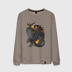 Мужской свитшот Дракон