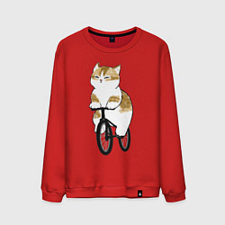 Мужской свитшот Котик на велосипеде