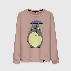 Мужской свитшот Тоторо под зонтом