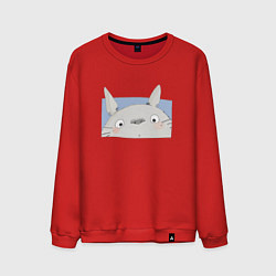 Мужской свитшот Удивленный Тоторо