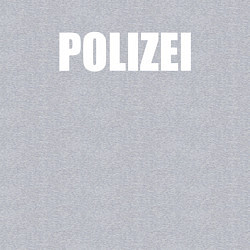Свитшот хлопковый мужской POLIZEI Полиция Надпись Белая, цвет: меланж — фото 2