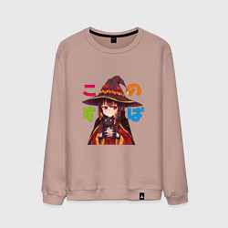 Мужской свитшот Meg Black Cаt