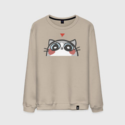 Мужской свитшот Котя влюбился