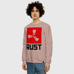 Свитшот хлопковый мужской Rust, цвет: пыльно-розовый — фото 2