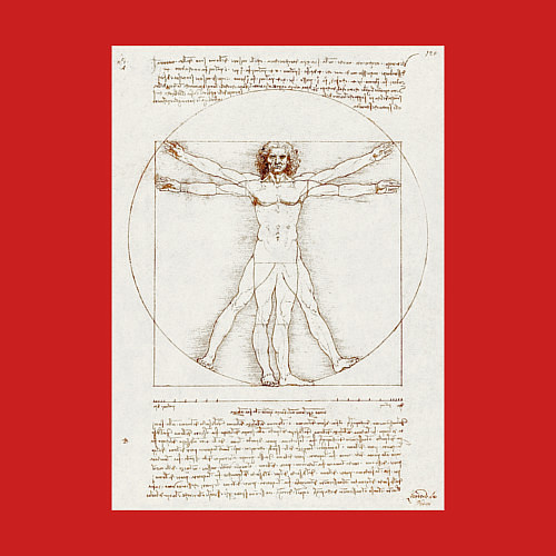 Мужской свитшот Леонардо да Винчи Витрувианский человек Приблизите / Красный – фото 3