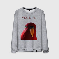 Мужской свитшот Красный попугай