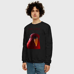Свитшот хлопковый мужской Красный попугай, цвет: черный — фото 2