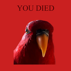 Свитшот хлопковый мужской Красный попугай, цвет: красный — фото 2