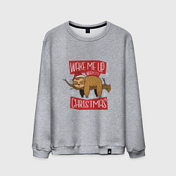 Мужской свитшот Wake me up when its Christmas