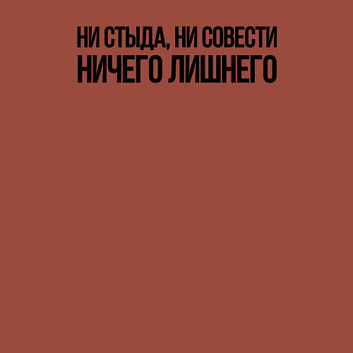 Мужской свитшот НИ СТЫДА, НИ СОВЕСТИ НИЧЕГО ЛИШНЕГО / Кирпичный – фото 3