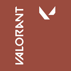 Свитшот хлопковый мужской Valorant - Logo, цвет: кирпичный — фото 2