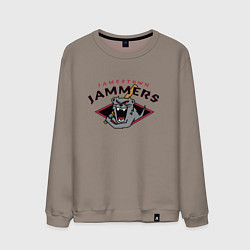 Мужской свитшот Jamestown Jammers - baseball team