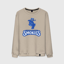 Мужской свитшот Tennessee smokies - baseball team