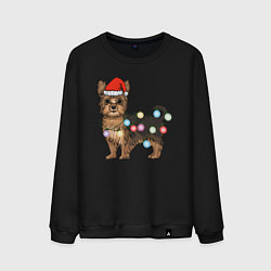 Мужской свитшот Йоркширский терьер новогодний