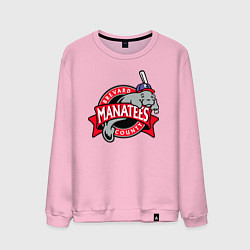 Свитшот хлопковый мужской Brevard County Manatees - baseball team, цвет: светло-розовый