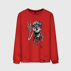 Свитшот хлопковый мужской Skeleton dude, цвет: красный