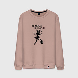 Мужской свитшот Ведьмы не СТАРЕЮТ Прикол