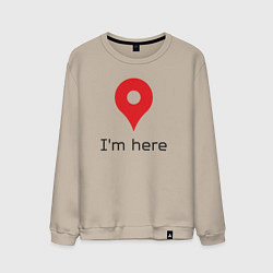 Свитшот хлопковый мужской Локация i am here, цвет: миндальный