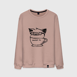 Мужской свитшот Курсэд Кэтс двадцать семь