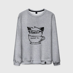 Мужской свитшот Курсэд Кэтс двадцать семь