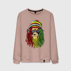 Мужской свитшот Rasta lioN