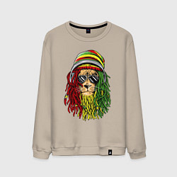 Свитшот хлопковый мужской Rasta lioN, цвет: миндальный