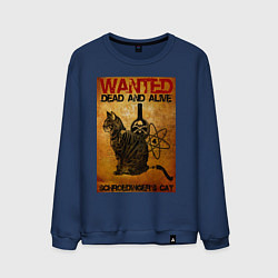 Мужской свитшот Разыскивается Кот