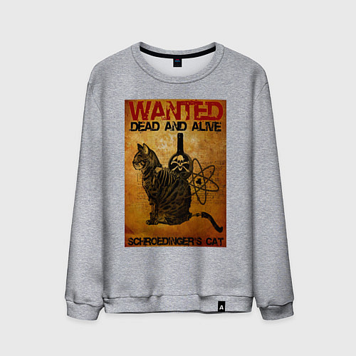 Мужской свитшот Разыскивается Кот / Меланж – фото 1