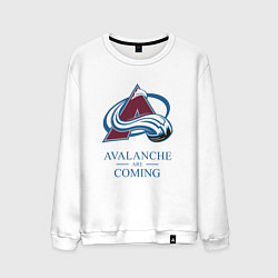 Мужской свитшот Colorado Avalanche are coming , Колорадо Эвеланш