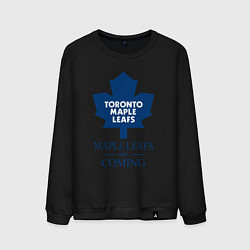 Мужской свитшот Toronto Maple Leafs are coming Торонто Мейпл Лифс