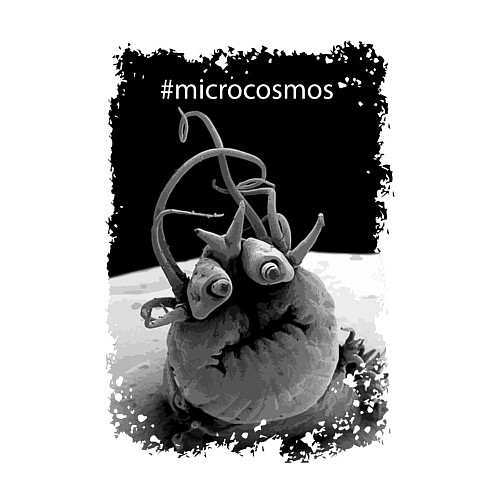 Мужской свитшот Microcosmos / Белый – фото 3