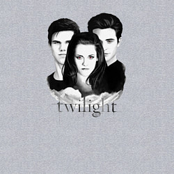 Свитшот хлопковый мужской Сумерки сага, цвет: меланж — фото 2