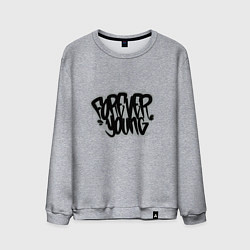 Свитшот хлопковый мужской Forever Young - Навсегда молодой, цвет: меланж