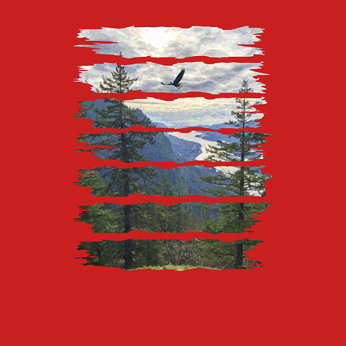 Мужской свитшот Горы, небо и птицы / Красный – фото 3