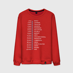 Мужской свитшот Бородаметр