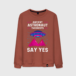 Свитшот хлопковый мужской Ancient Astronaut Theorist Say Yes, цвет: кирпичный