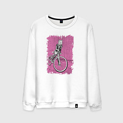 Мужской свитшот Байк Панк Лисичка