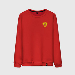 Мужской свитшот Герб россии карман спина