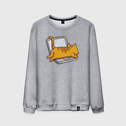 Мужской свитшот Котик лежит на ноутбуке