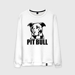 Мужской свитшот Pit Bull Power