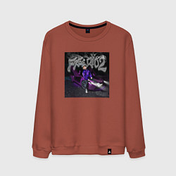 Свитшот хлопковый мужской OG BUDA FREERIO2, цвет: кирпичный