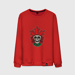 Свитшот хлопковый мужской Canada Skull, цвет: красный