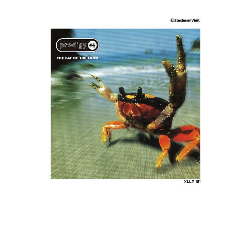 Мужской свитшот SV The Fat Of The Land W / Белый – фото 3