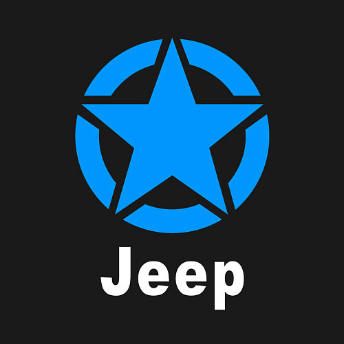 Мужской свитшот ДЖИП FS / Черный – фото 3